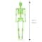 5ft. LED Glow-in-the-Dark Animated Skeleton by Ashland®